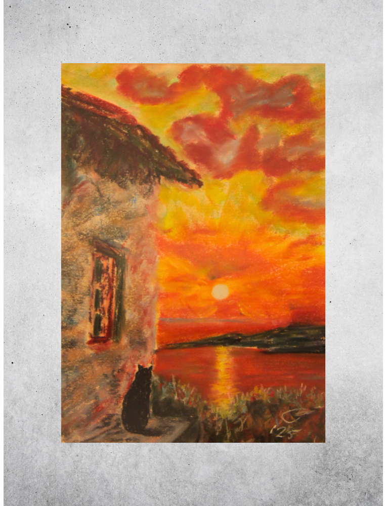 Black Cat - Sunset Black Cat - Sunset